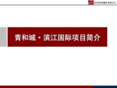 20130809青山項(xiàng)目簡(jiǎn)介.13