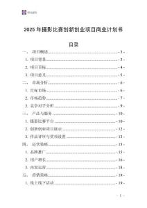 2025年攝影比賽創新創業項目商業計劃書