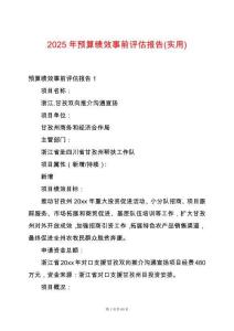 2025年預算績效事前評估報告(實用)