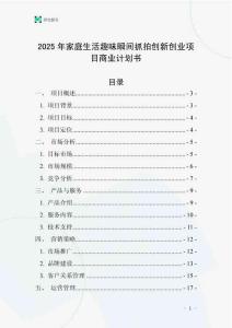 2025年家庭生活趣味瞬間抓拍創新創業項目商業計劃書