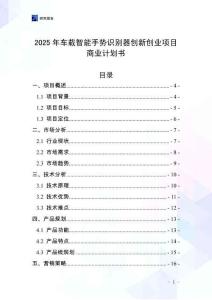 2025年車載智能手勢識別器創新創業項目商業計劃書