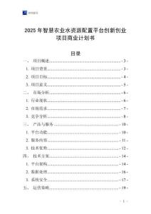 2025年智慧農(nóng)業(yè)水資源配置平臺(tái)創(chuàng)新創(chuàng)業(yè)項(xiàng)目商業(yè)計(jì)劃書(shū)