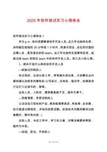 2025年軟件測(cè)試實(shí)習(xí)心得體會(huì)