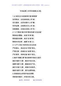 (30例)市場監(jiān)管工作寫作提綱