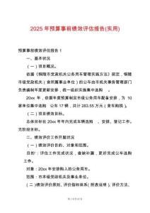 2025年預算事前績效評估報告(實用)