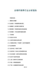 臺球桿保養(yǎng)行業(yè)分析報告