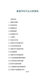 星途汽車行業(yè)分析報告