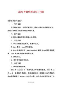 2025年軟件測試實習報告
