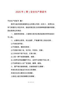 2025年（薦）安全生產承諾書