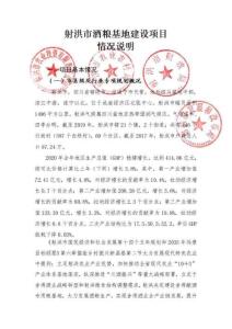 17、射洪市酒糧基地建設項目-情況說明