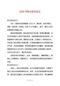 2025年防火防災征文