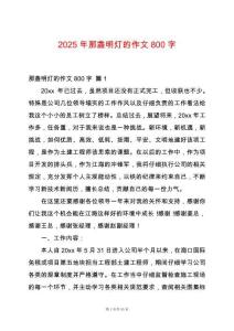 2025年那盞明燈的作文800字