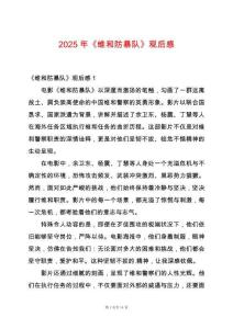 2025年《維和防暴隊》觀后感