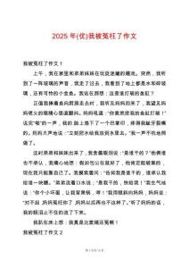 2025年(優(yōu))我被冤枉了作文