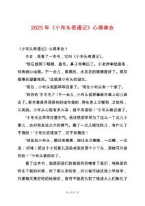 2025年《小布頭奇遇記》心得體會