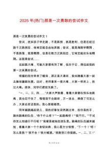 2025年(熱門)那是一次勇敢的嘗試作文