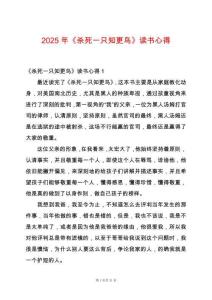 2025年《殺死一只知更鳥》讀書心得