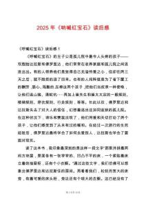 2025年《呐喊红宝石》读后感