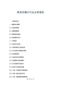 阿克蘇唱片行業(yè)分析報告