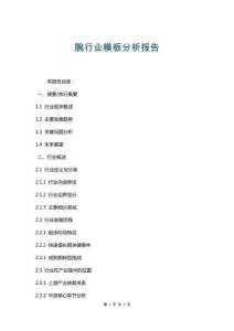 腕行業(yè)模板分析報告