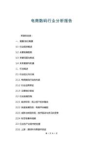電商數(shù)碼行業(yè)分析報(bào)告