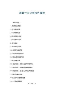 涼鞋行業(yè)分析報告模板