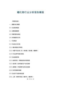 硼化物行業(yè)分析報告模板