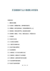 巨浪服裝行業大數據分析報告