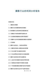 攝影行業的利潤分析報告
