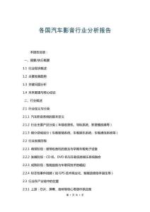 各國汽車影音行業分析報告