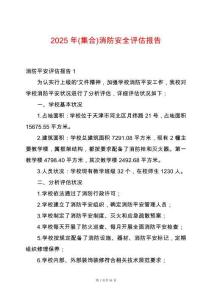2025年(集合)消防安全評估報告