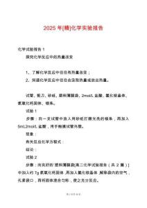 2025年[精]化學(xué)實(shí)驗(yàn)報(bào)告