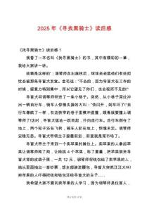 2025年《尋找黑騎士》讀后感