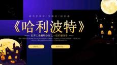 讀書(shū)分享成品-哈利波特 (2)