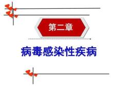 麻疹病人的護(hù)理