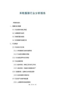 米粒服裝行業分析報告