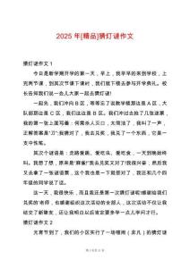 2025年[精品]猜燈謎作文