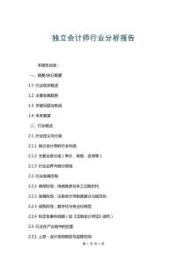 獨立會計師行業(yè)分析報告