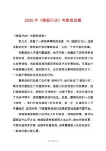 2025年《獵狐行動》電影觀后感