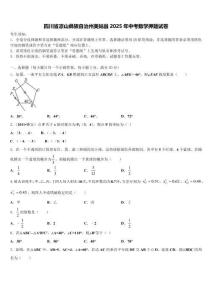 四川省涼山彝族自治州美姑縣2025年中考數(shù)學(xué)押題試卷含解析
