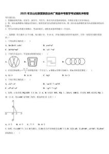2025年文山壯族苗族自治州廣南縣中考數(shù)學(xué)考試模擬沖刺卷含解析