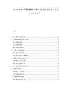 2025-2030中國聚醚砜（PES）行業技術壁壘與替代材料研究報告