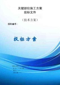 關(guān)鍵部位施工方案投標(biāo)文件（技術(shù)方案）
