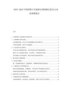 2025-2030中國控釋片市場細分領域增長機會與風險預警報告