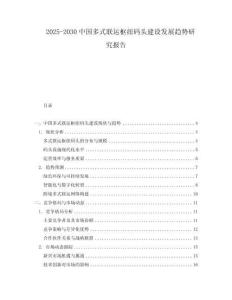 2025-2030中國多式聯運樞紐碼頭建設發展趨勢研究報告