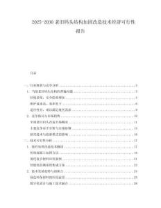 2025-2030老舊碼頭結(jié)構(gòu)加固改造技術(shù)經(jīng)濟(jì)可行性報告