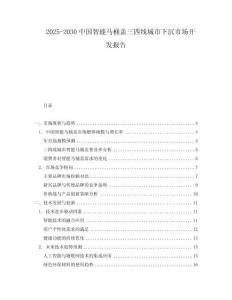 2025-2030中國智能馬桶蓋三四線城市下沉市場開發報告