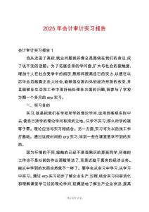 2025年會計審計實(shí)習(xí)報告