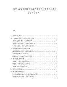 2025-2030中國老舊碼頭改造工程技術難點與成本效益評估報告