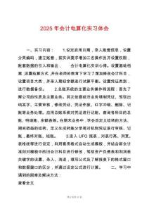 2025年會(huì)計(jì)電算化實(shí)習(xí)體會(huì)
